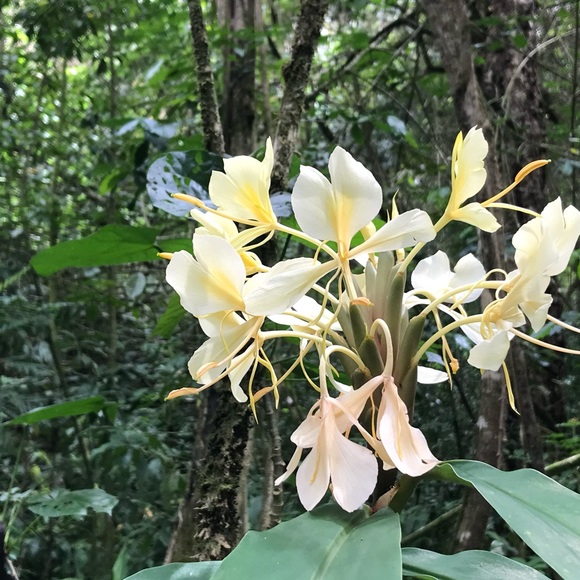 Meet your Posher, Kelcie (Feel Free to Bookmark My Closet) π» - Picture 4 of 5